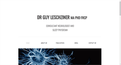 Desktop Screenshot of guyleschziner.com